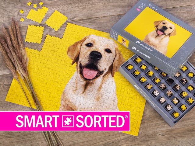 New and exclusively at puzzleYOU: SMART SORTED®